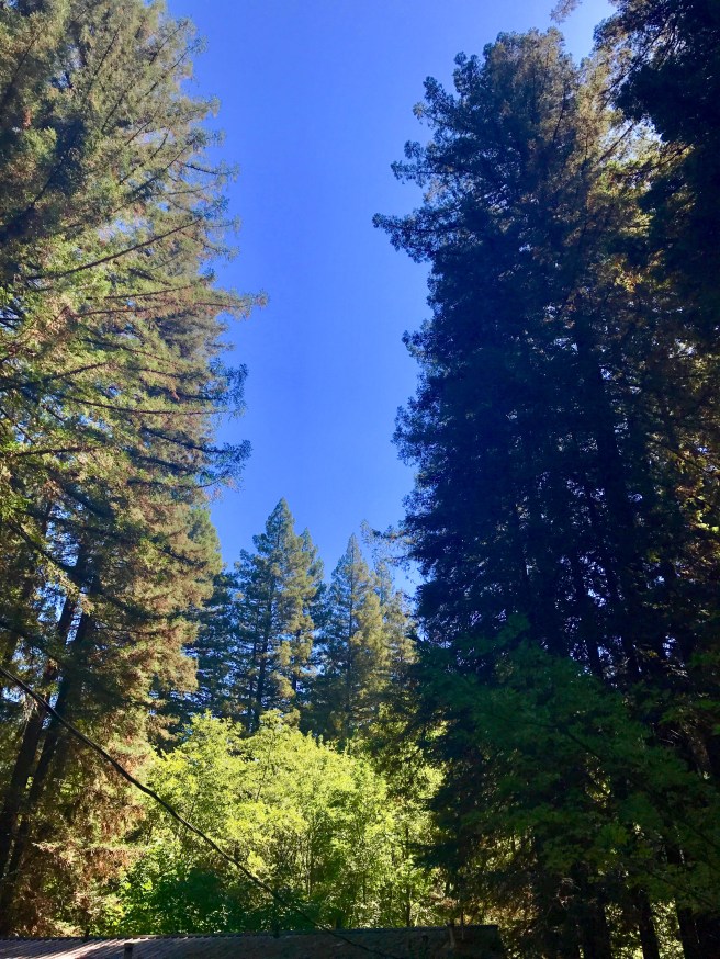 2A1FB590-74FC-43FF-A542-843504264FC2