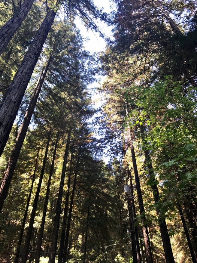 CCF72B13-EF3C-415C-82CE-DCD1242808B8