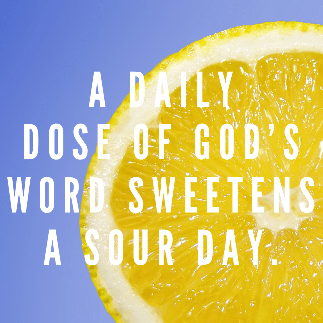 4337F400-2195-46D8-84E4-340332ADD812