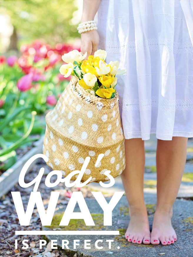 FFD8FCBA-9D2C-4773-B23B-017E52C6E7B9