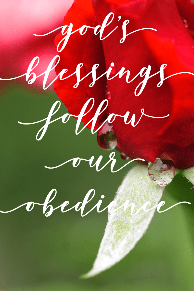 8CF153D3-2160-489E-A729-6C4D9BE205C8