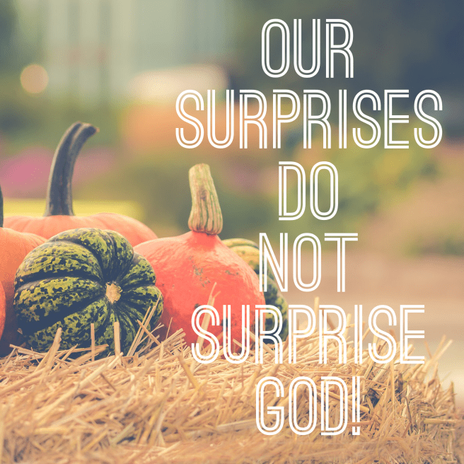 1D1B6654-5631-4AEB-99CE-C5F8B608C353