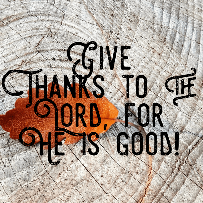 FC4B1EE8-FB7E-4AC8-907E-1E7D06E7EF16