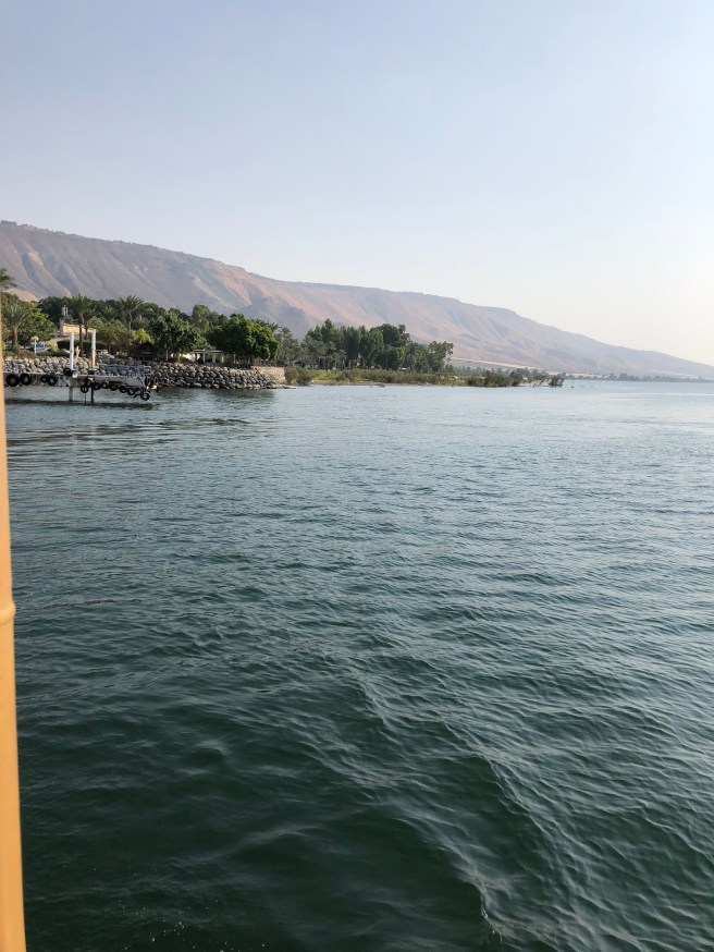 B607721B-A40F-4C61-ACEA-A0396E23A712