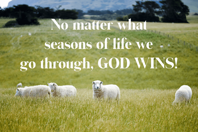 C4EBA02F-9A5E-4614-85A6-7E1B06702C65