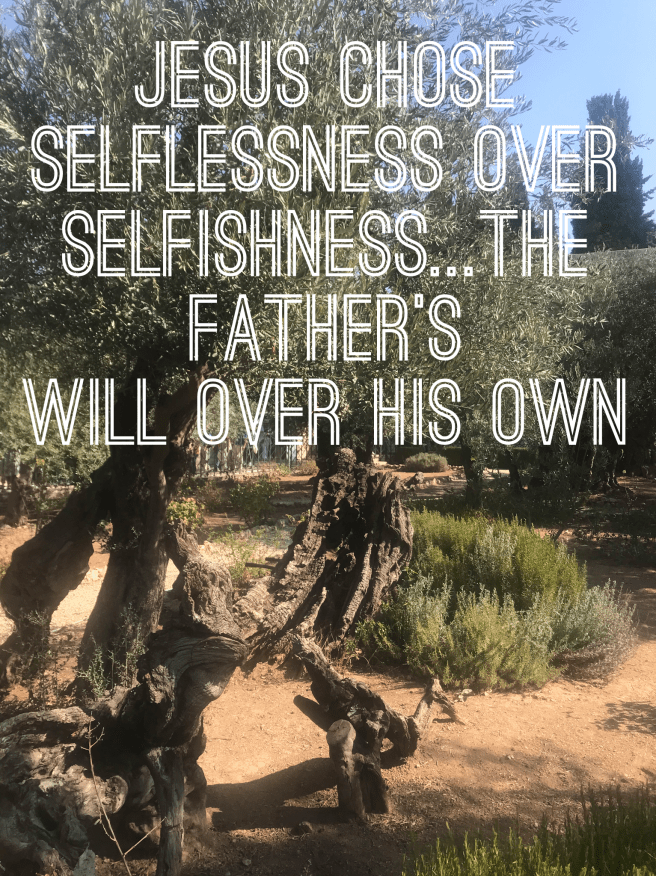 18FDFC67-70A3-427E-B183-F88146A360CC