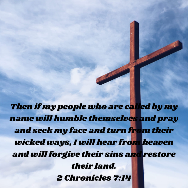 78C6A72B-7AFE-43EE-92CF-07B493DA211E