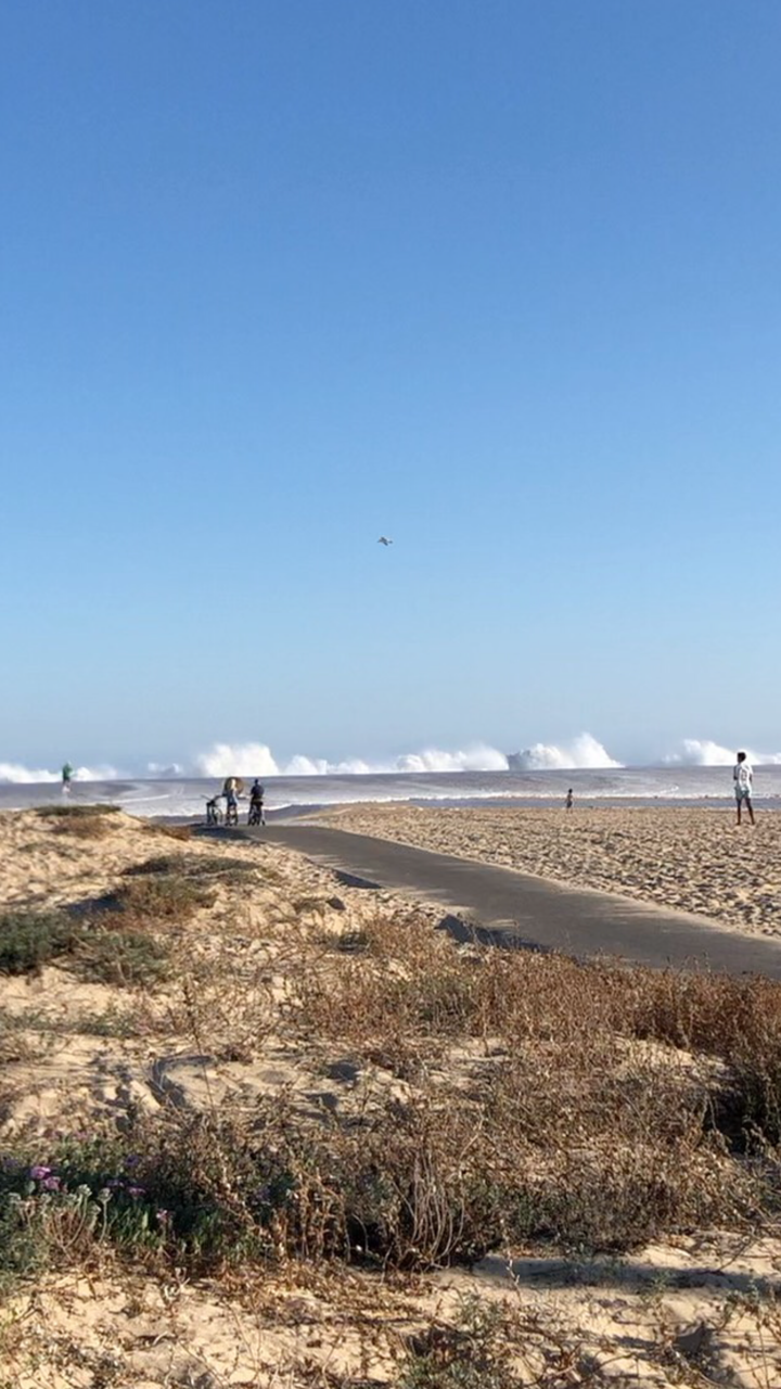 9D7E6A12-1963-431A-AA2C-D312F587217D